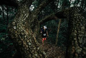 BIB: 
                            <button type="button" onclick="openModal(25686293)" class="btn btn-primary btn-sm float-right btn-popup" data-toggle="modal" data-target=".modal-high-quality">
                        <i class="fas fa-shopping-cart"></i> Add to Cart
                    </button>
                                            <button type="button" onclick="isThisMe(25686293, true)" class="btn btn-success btn-sm float-right btn-popup btn-isme hidden" data-toggle="tooltip" data-placement="bottom" title="นี่คือรูปของคุณใช่ไหม คลิกที่นี่เพื่อเอาเข้าอัลบั้ม">
                        <i class="fas fa-plus"></i> Add to album
                    </button>
                    <button type="button" onclick="isThisMe(25686293, false)" class="btn btn-warning btn-sm float-right btn-popup btn-isnotme hidden">
                        <i class="fas fa-ban"></i> Remove from album
                    </button>